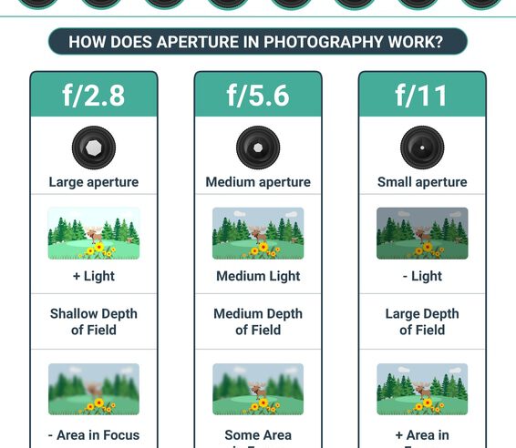 What Are the Essentials of Photography?